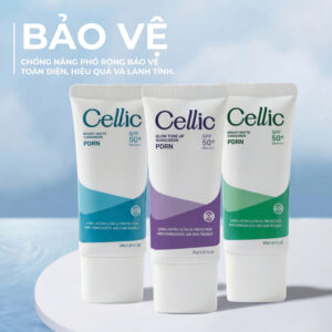 GIẢI PHÁP BẢO VỆ